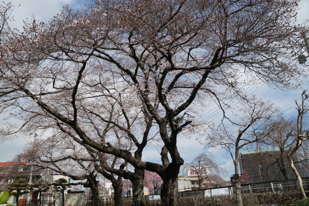 2024年4月4日（木）