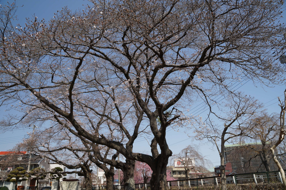 2024年4月2日（火）