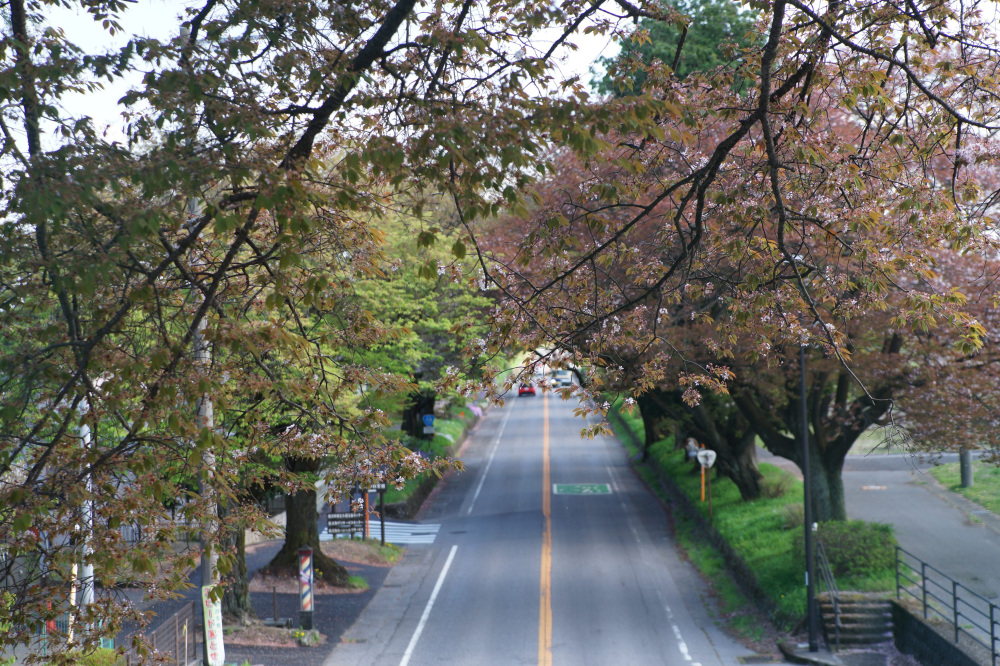 2024年4月17日（水）