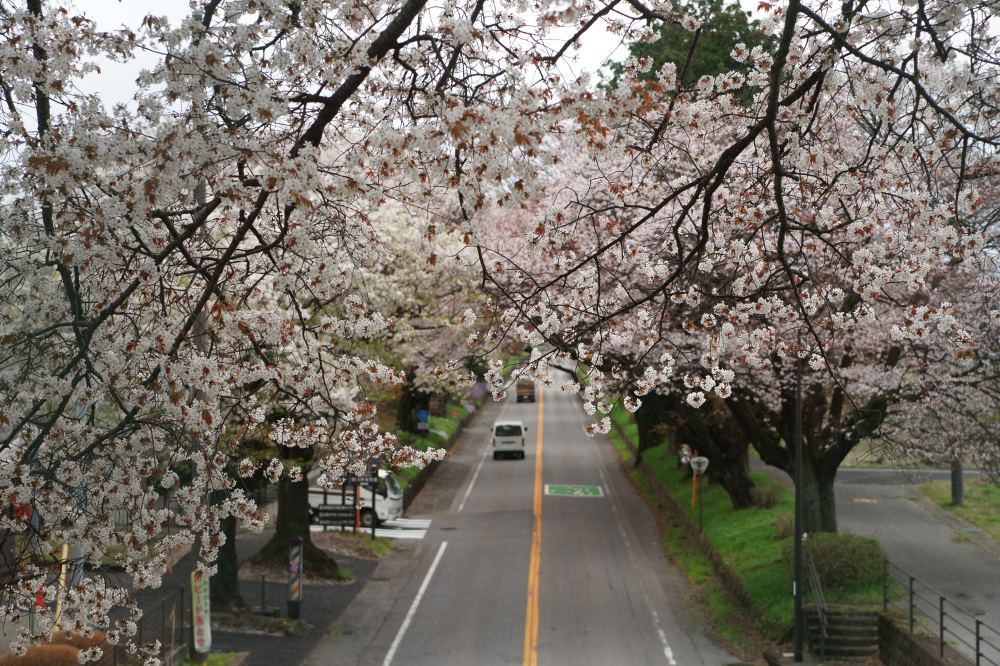 2024年4月12日（金）
