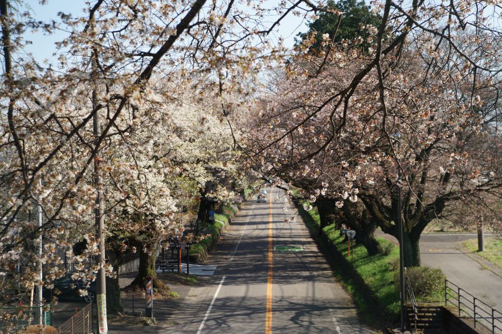 2024年4月9日（火）
