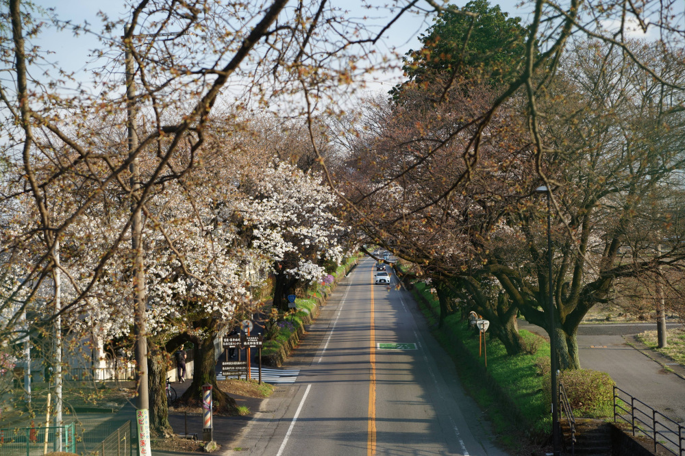 2024年4月7日（日）