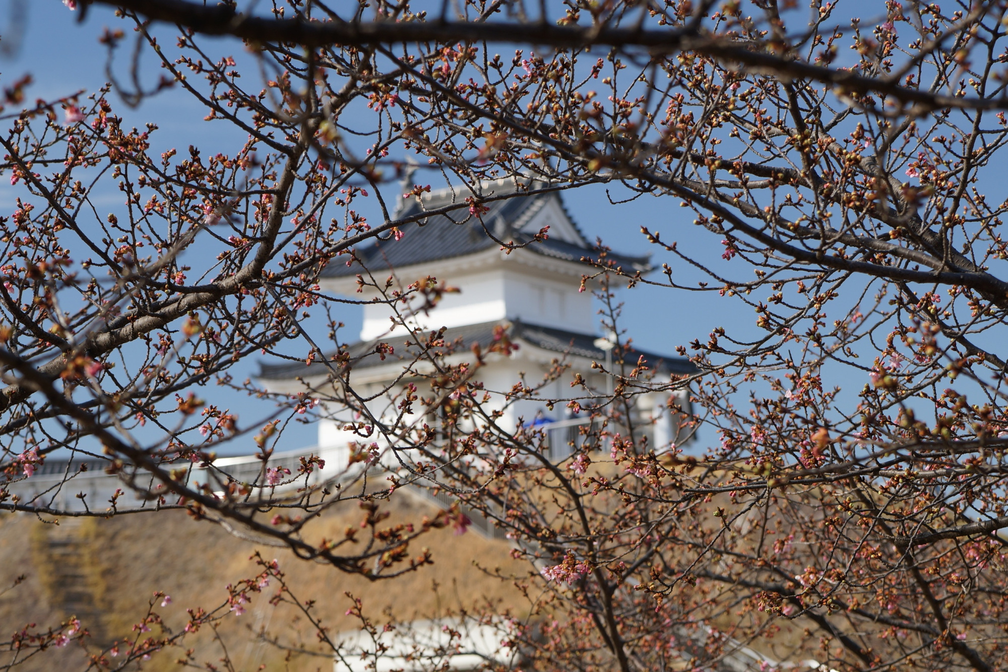 2023年3月1日（水）