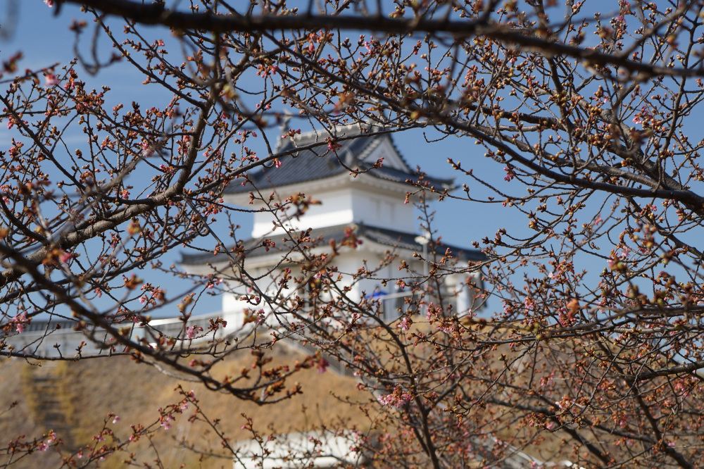 2023年3月1日(水)