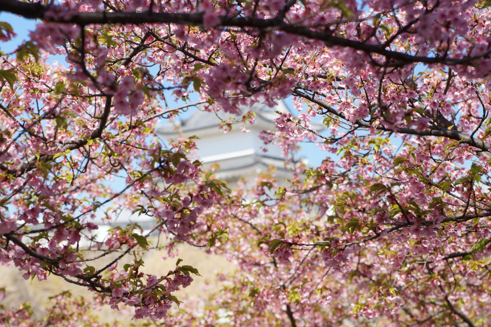 2023年3月19日(日)