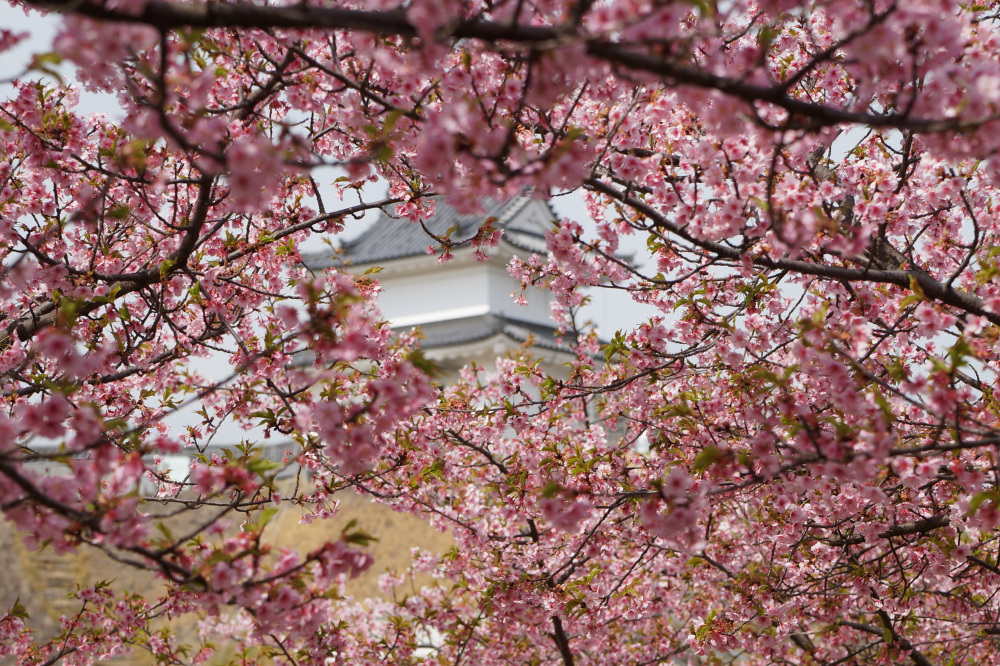 2023年3月16日(木)