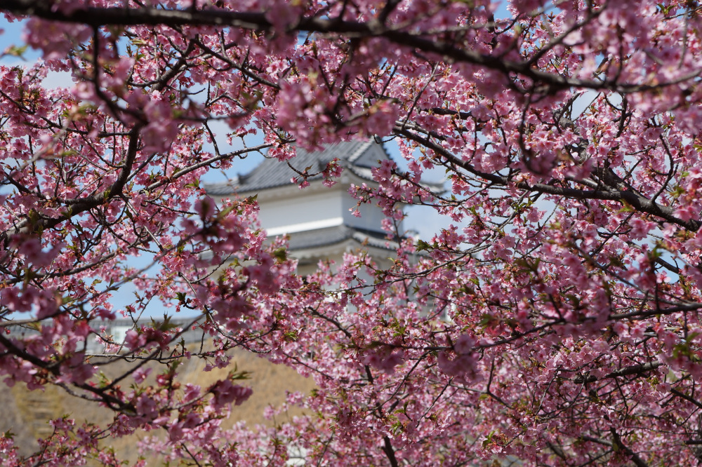 2023年3月14日(火)