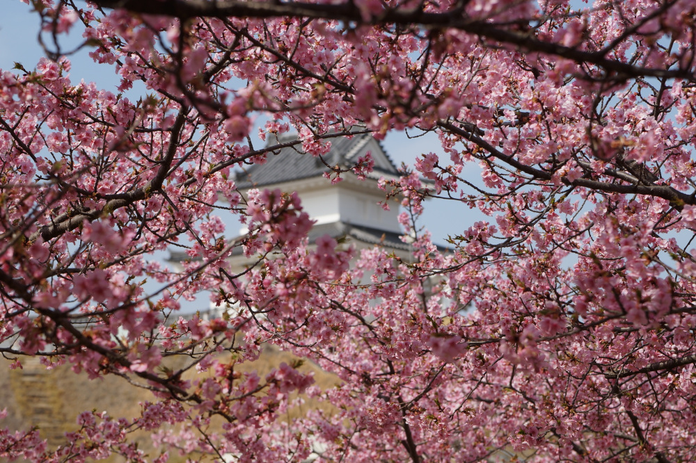 2023年3月12日(日)