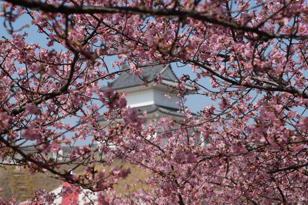 2023年3月10日(金)