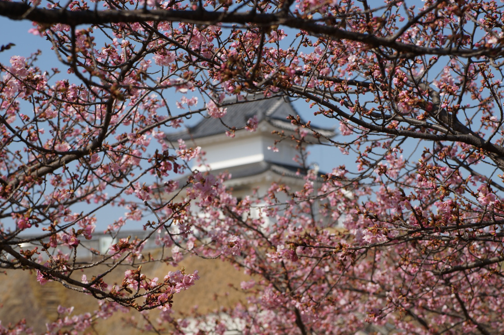 2023年3月8日(水)