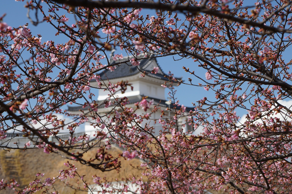 2023年3月6日(月)