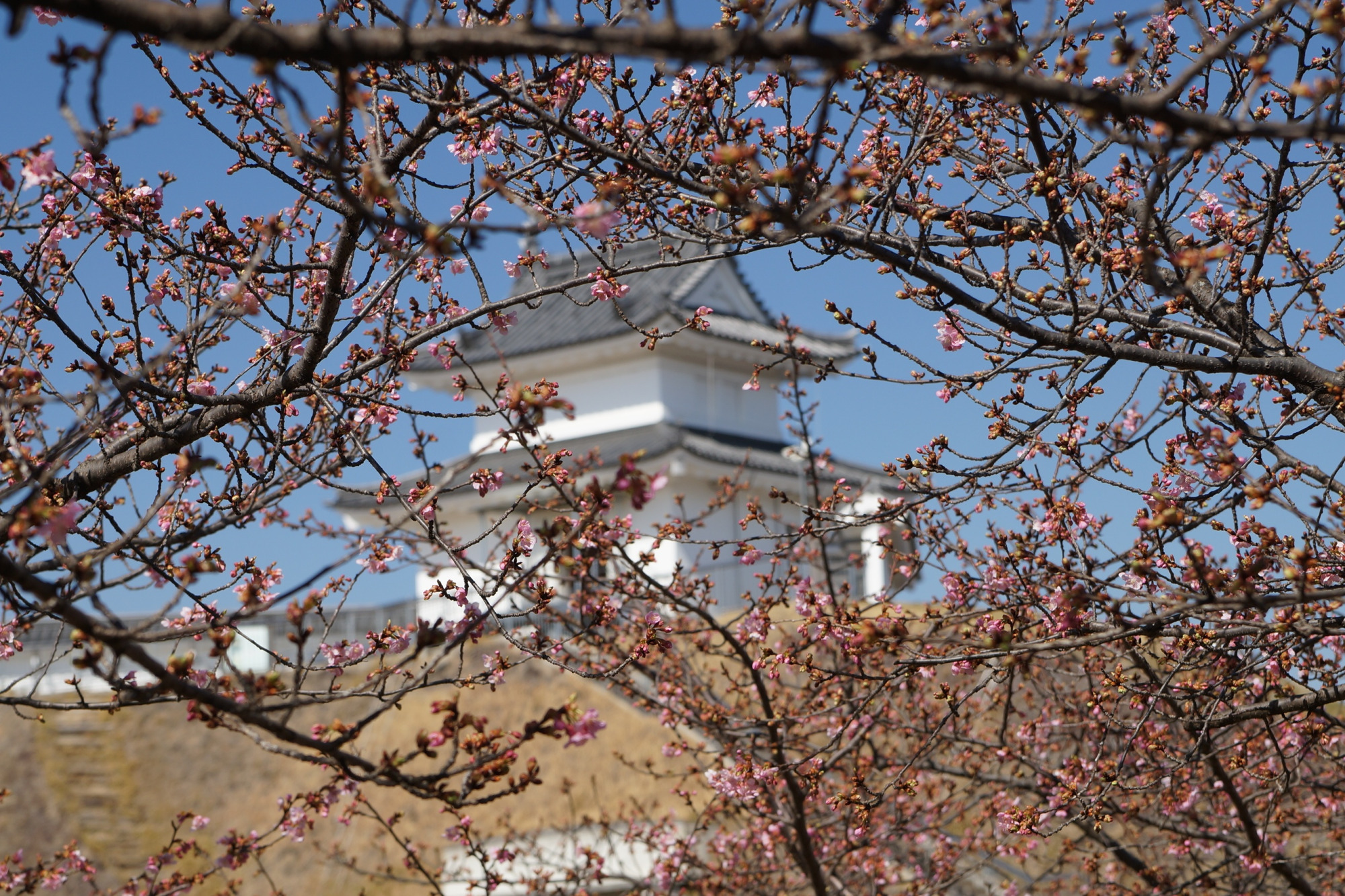 2023年3月4日（土）