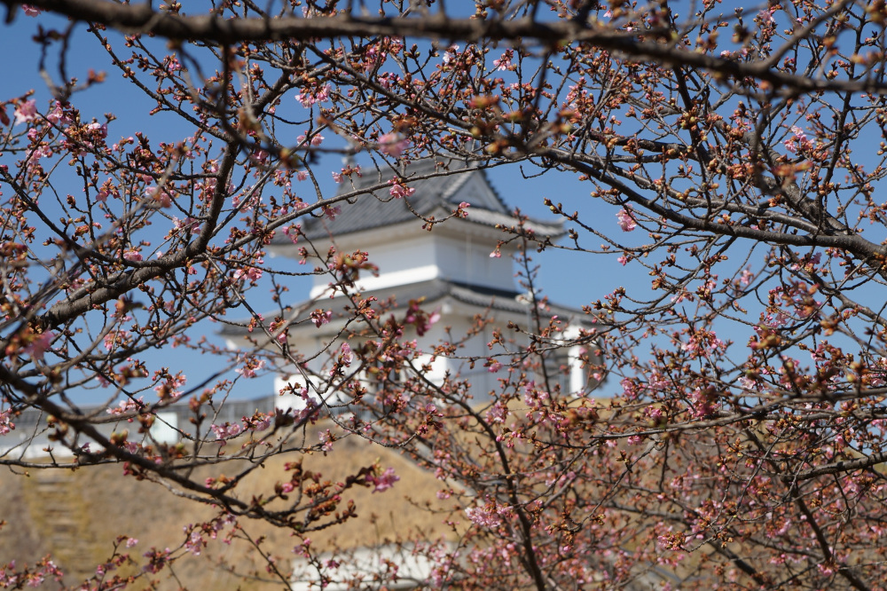 2023年3月4日(土)