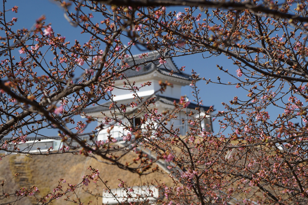 2023年3月3日(金)