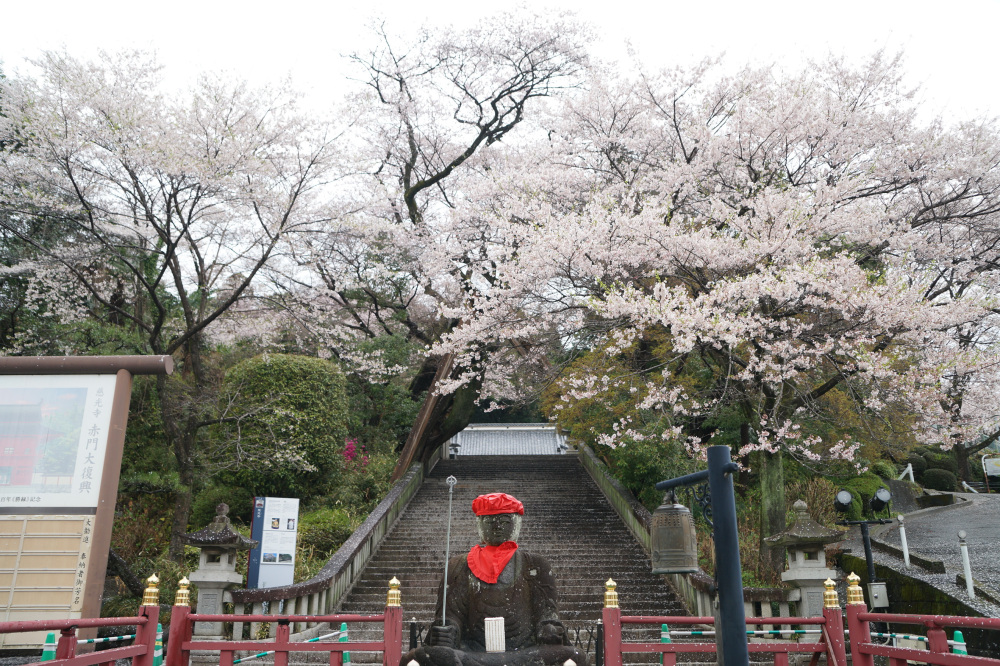 2023年3月25日(土)