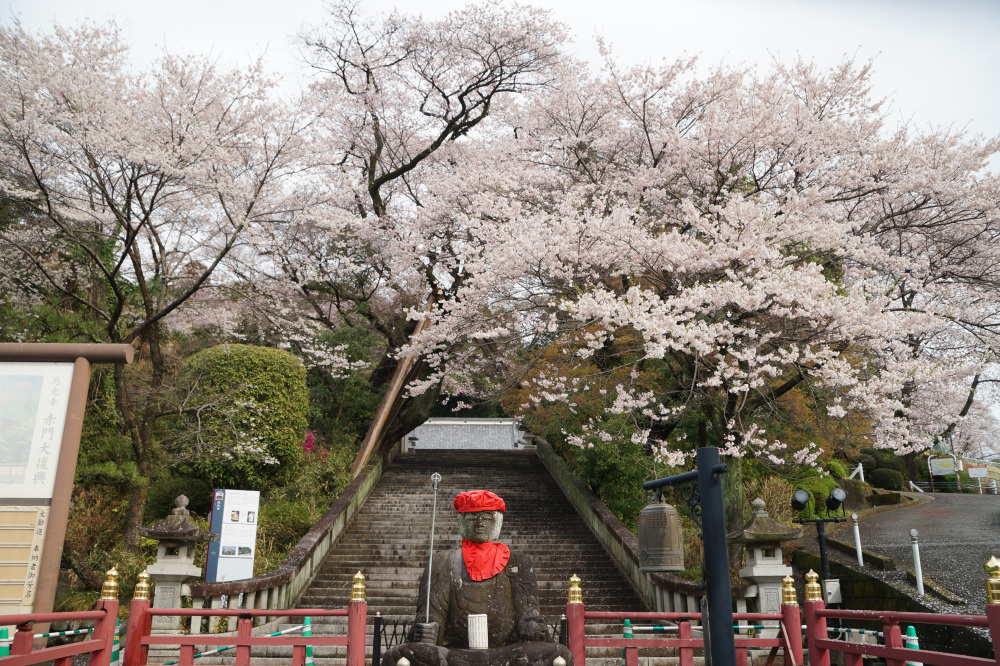 2023年3月24日(金)