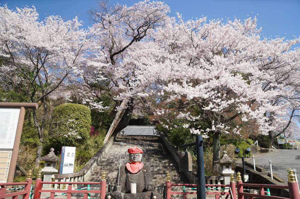 2023年3月22日(水)