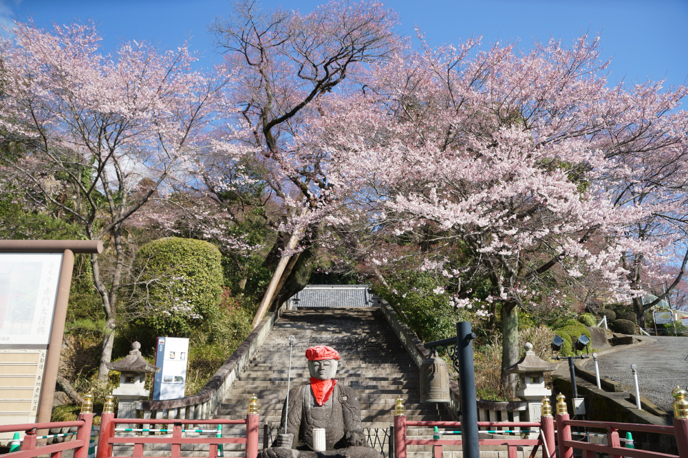 2023年3月19日(日)