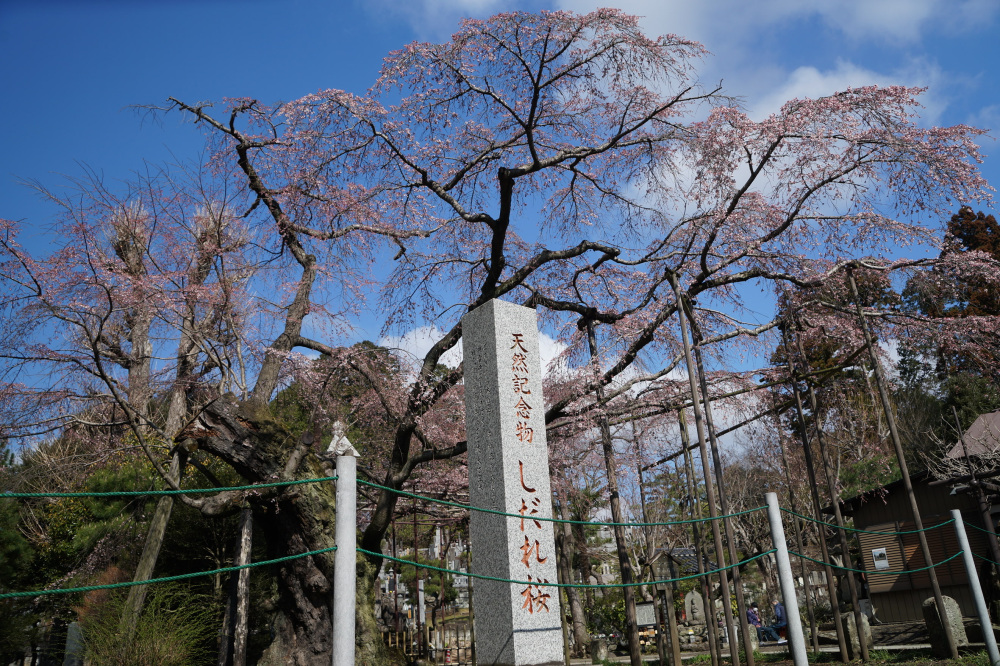 2023年3月19日(日)