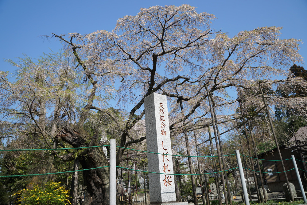 2023年4月1日(土)