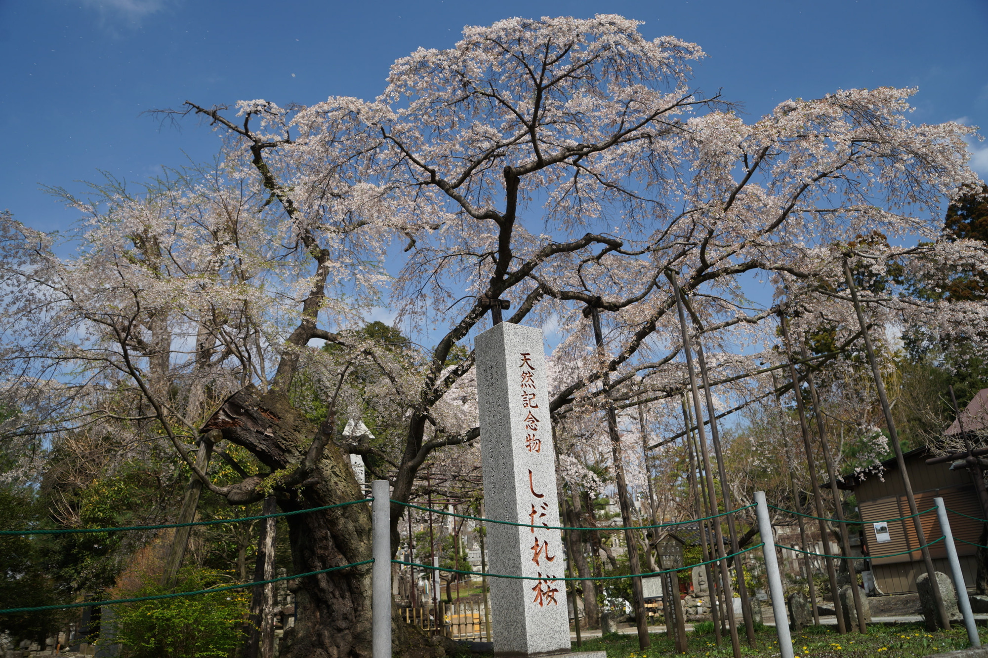 2023年3月30日（木）