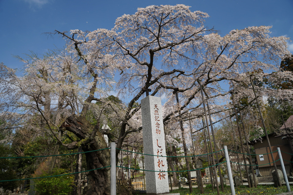 2023年3月30日(木)