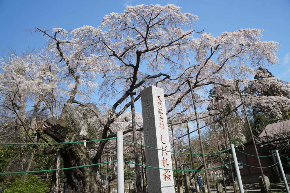 2023年3月29日(水)