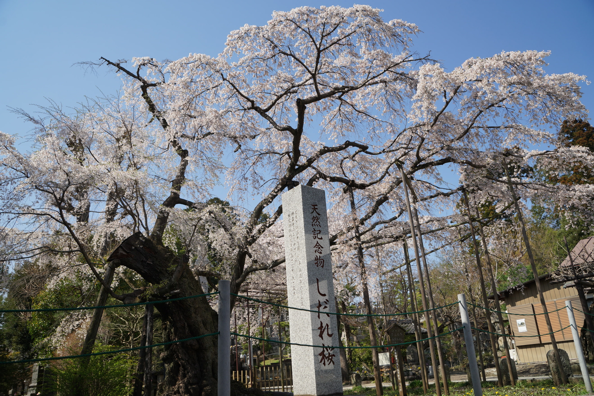 2023年3月28日（火）