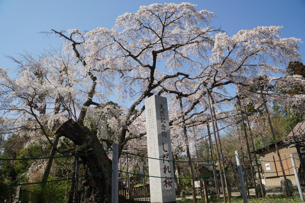 2023年3月28日(火)