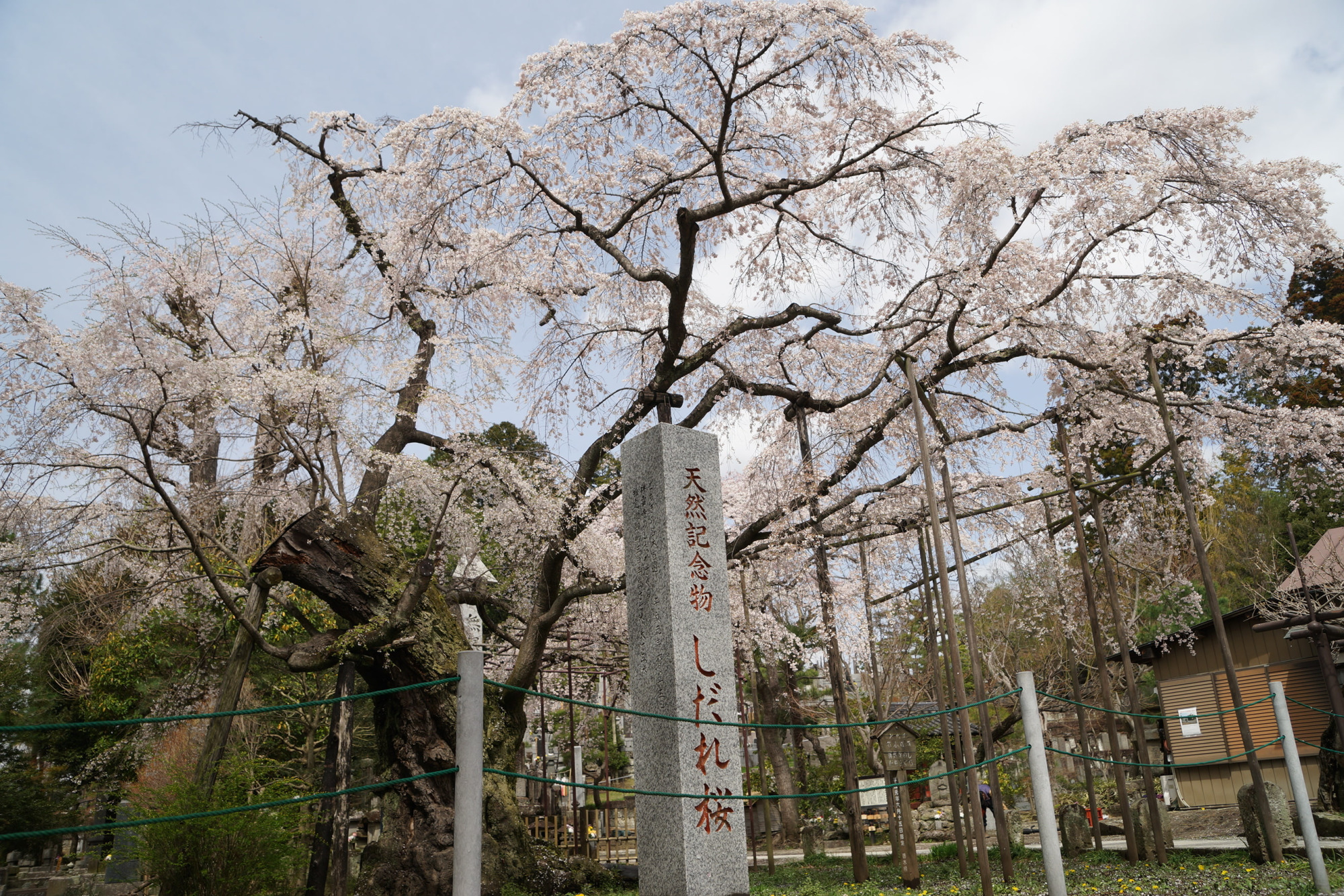 2023年3月27日（月）