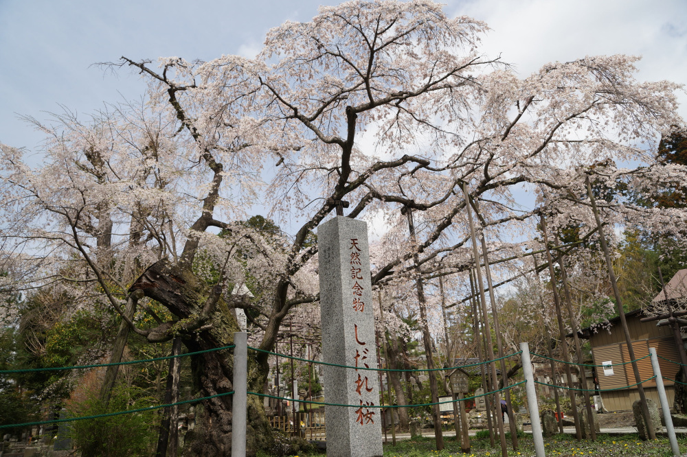 2023年3月27日(月)