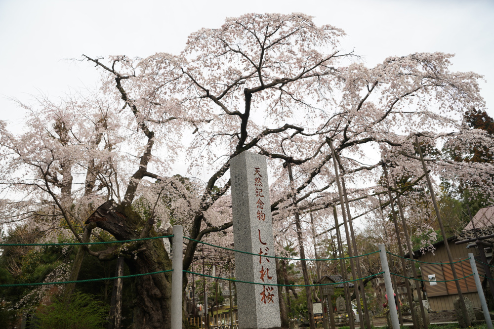 2023年3月24日(金)