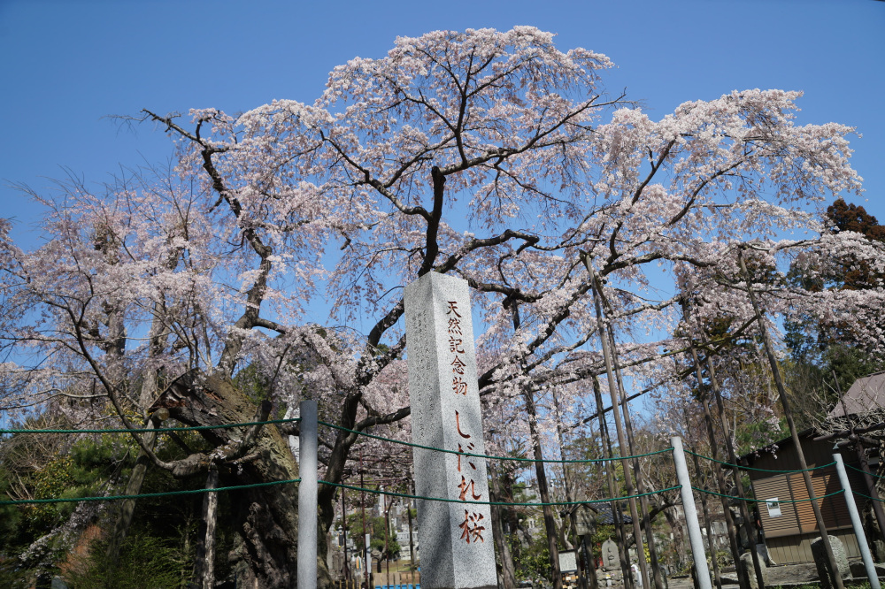 2023年3月22日(水)