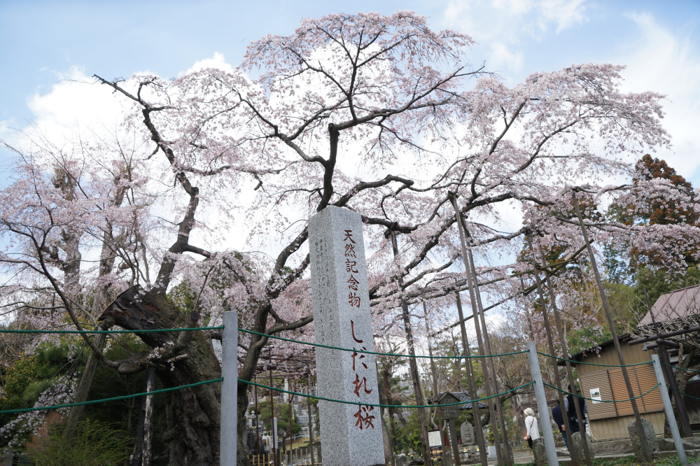 2023年3月21日(火)