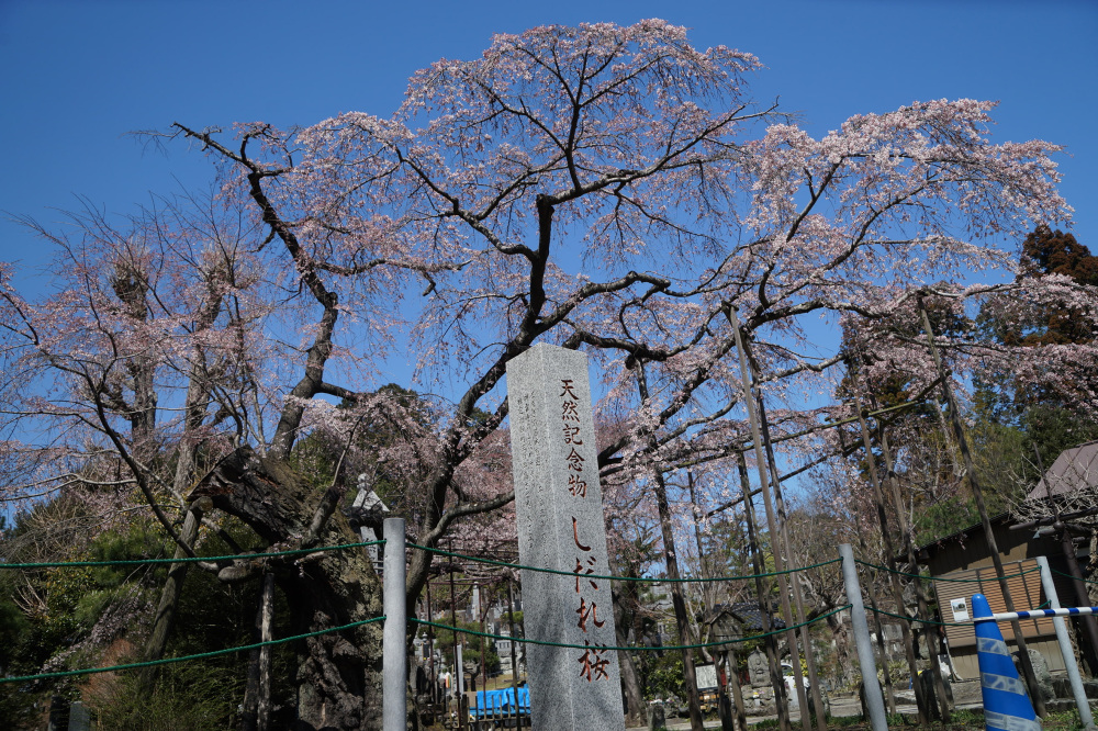 2023年3月20日(月)