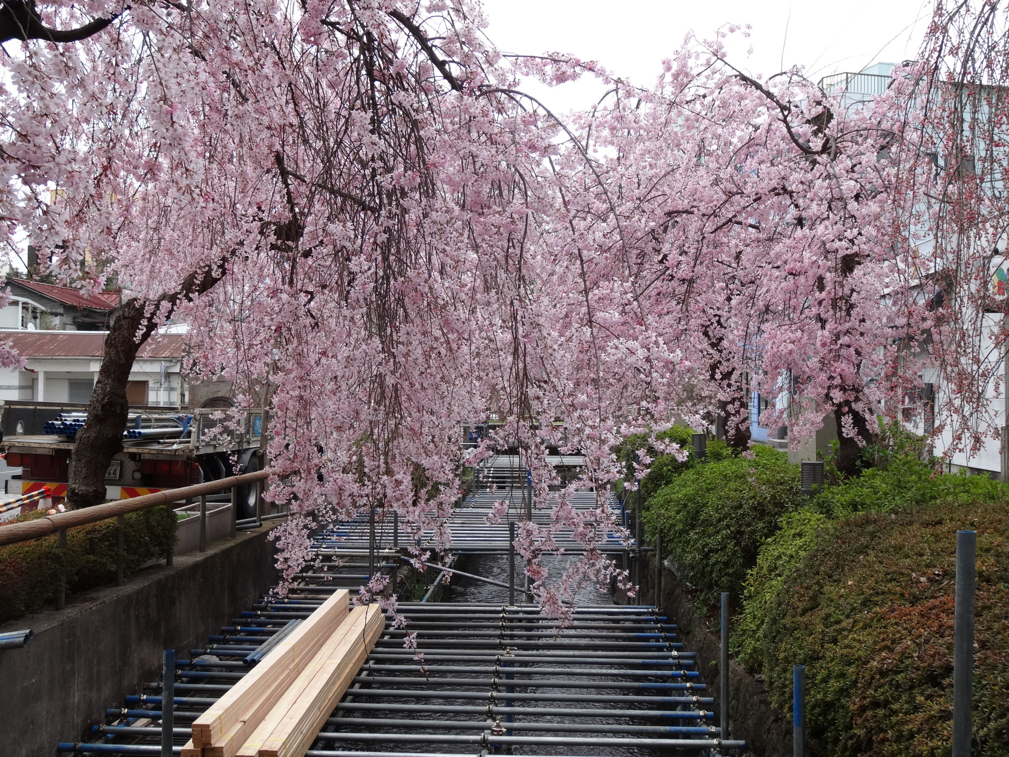 2023年3月23日（木）