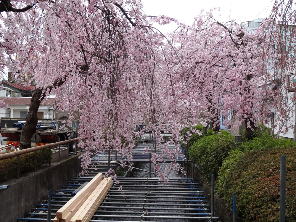 2023年3月23日(木)