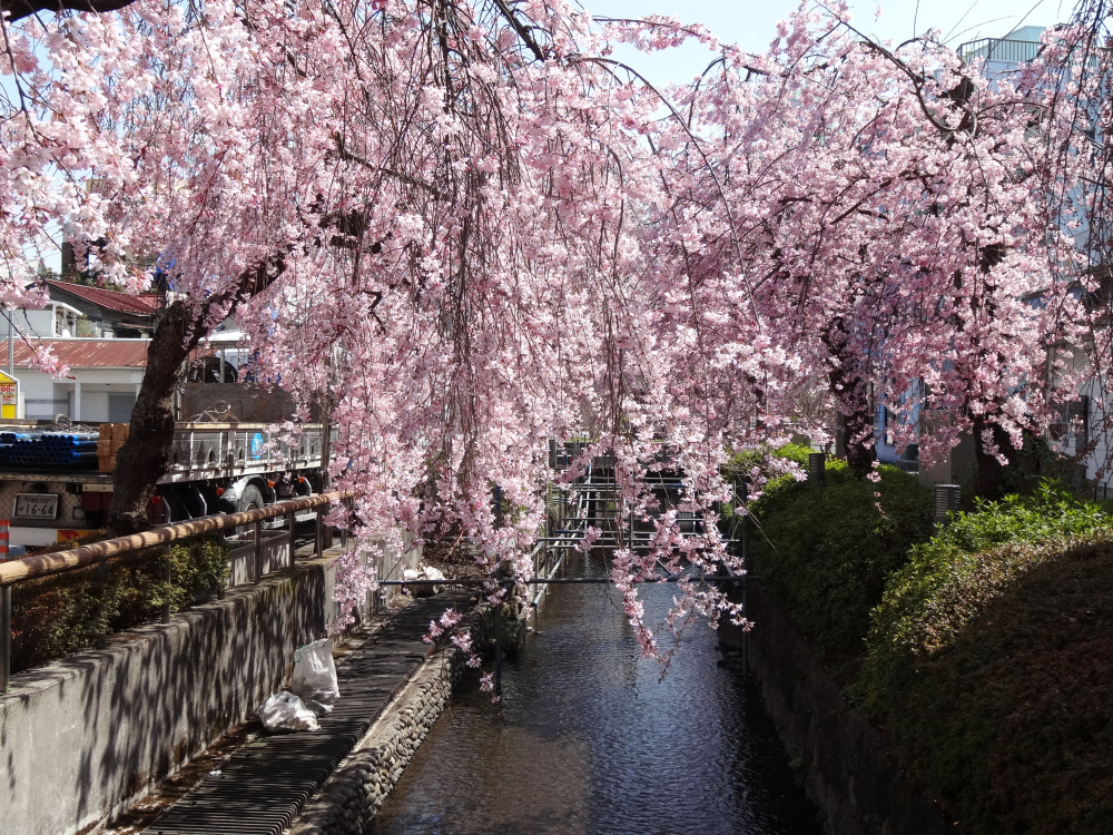 2023年3月22日(水)