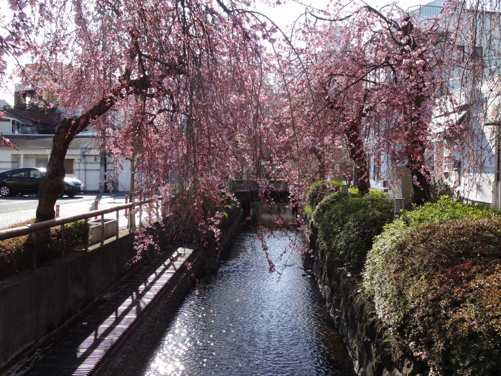 2023年3月20日(月)