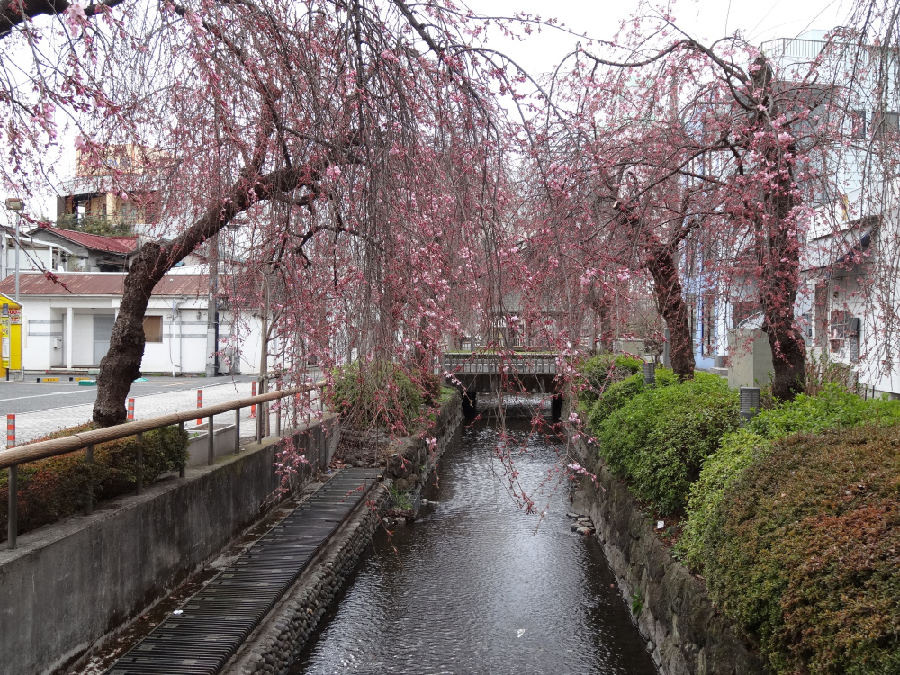 2023年3月17日(金)