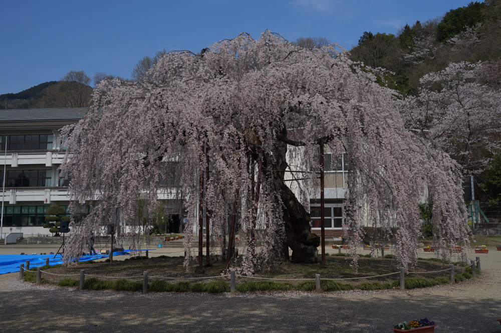 2023年3月31日(金)