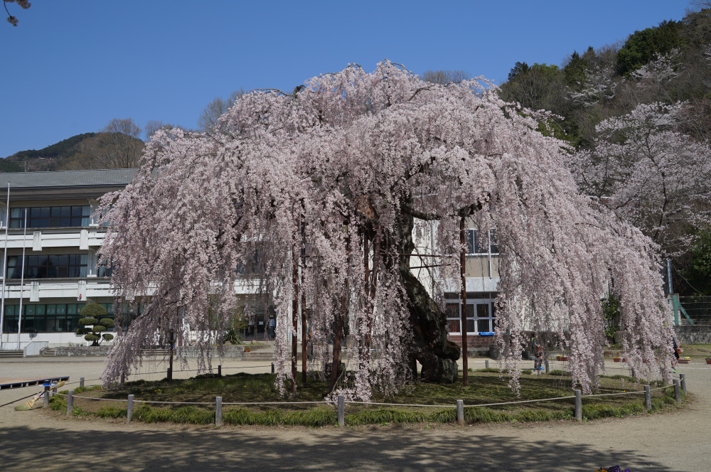 2023年3月29日(水)