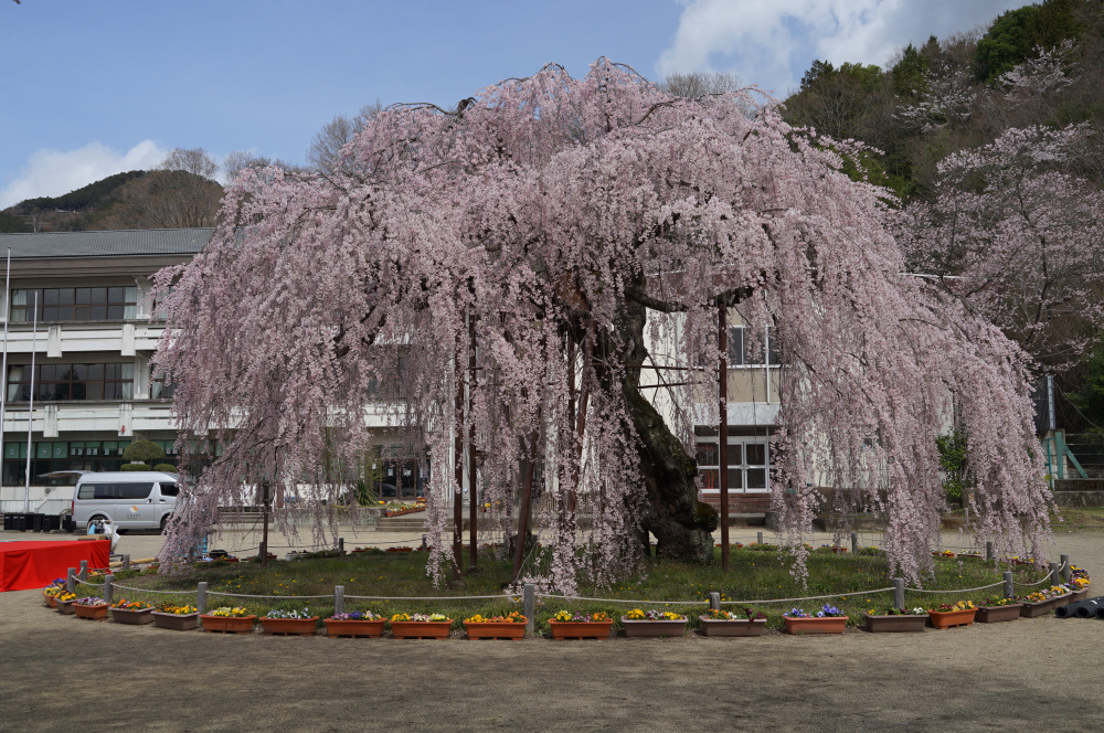 2023年3月27日(月)