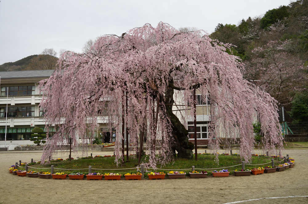 2023年3月24日(金)