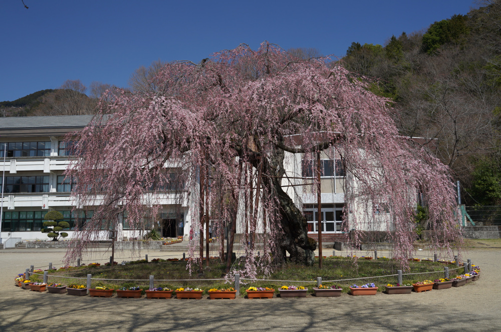 2023年3月22日(水)