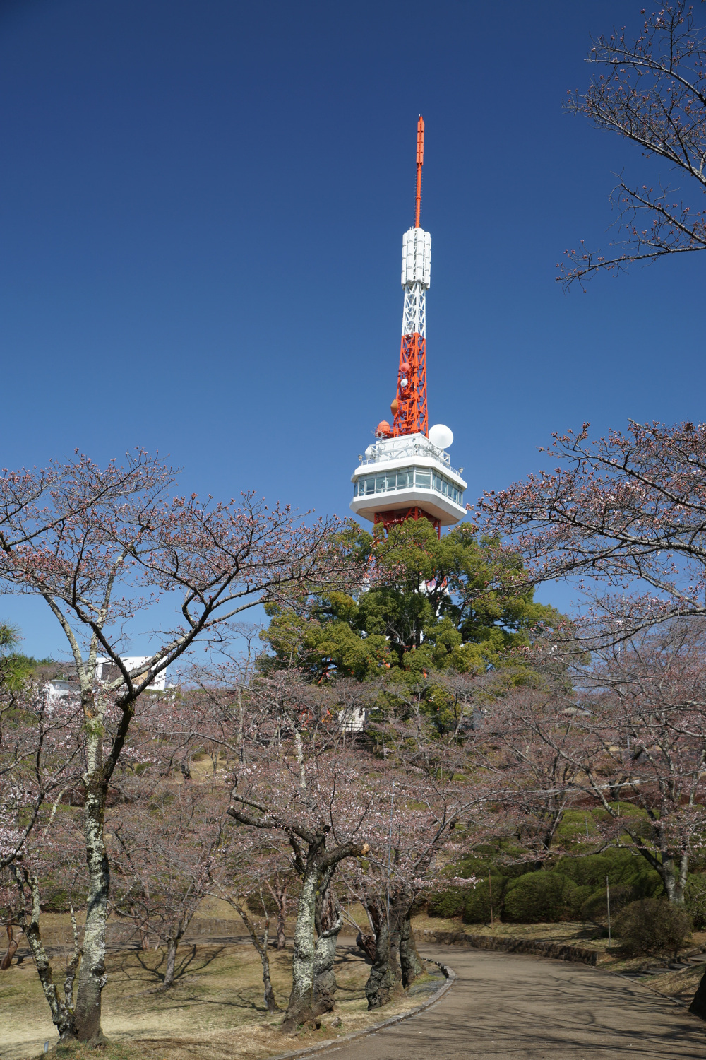 2023年3月22日(水)