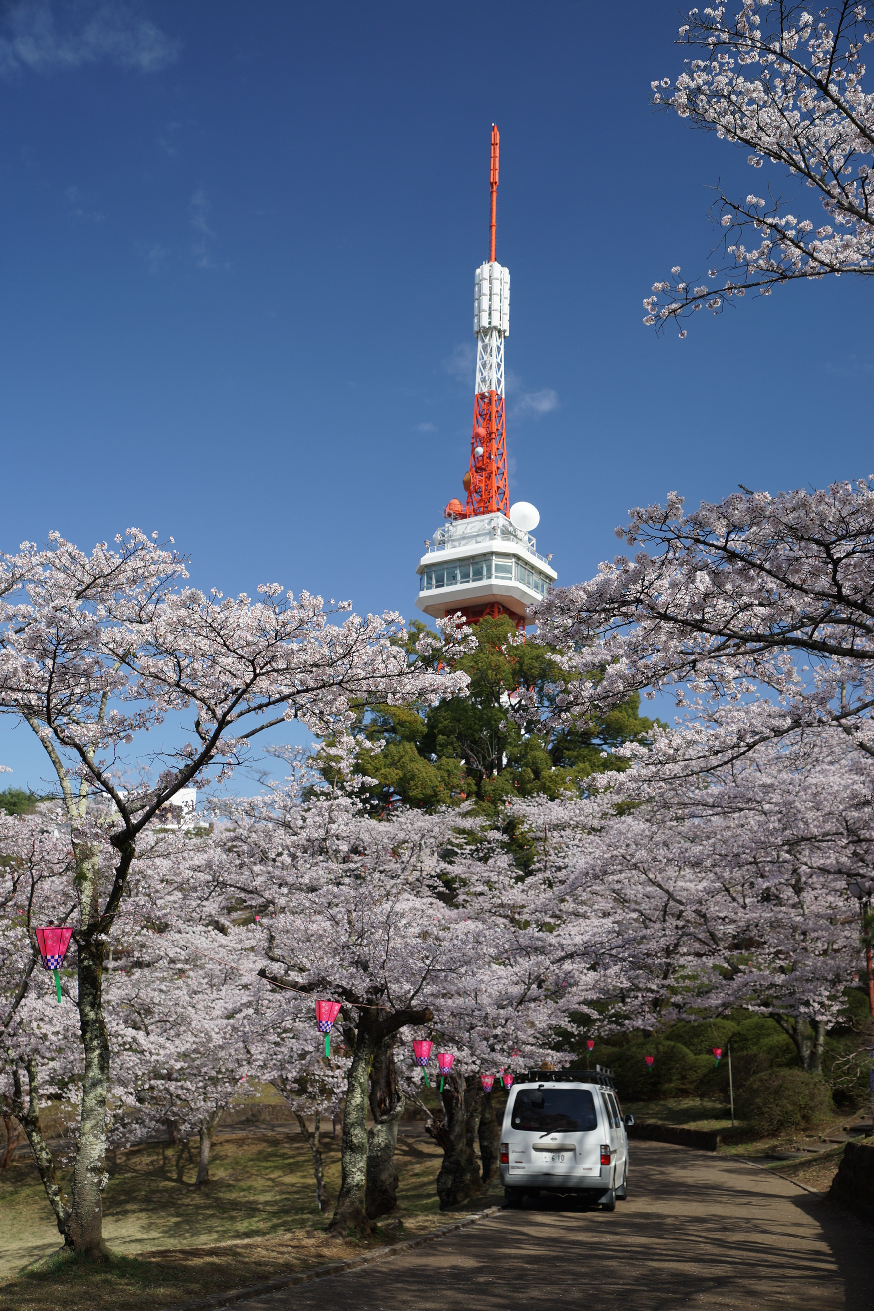 2023年3月29日（水）