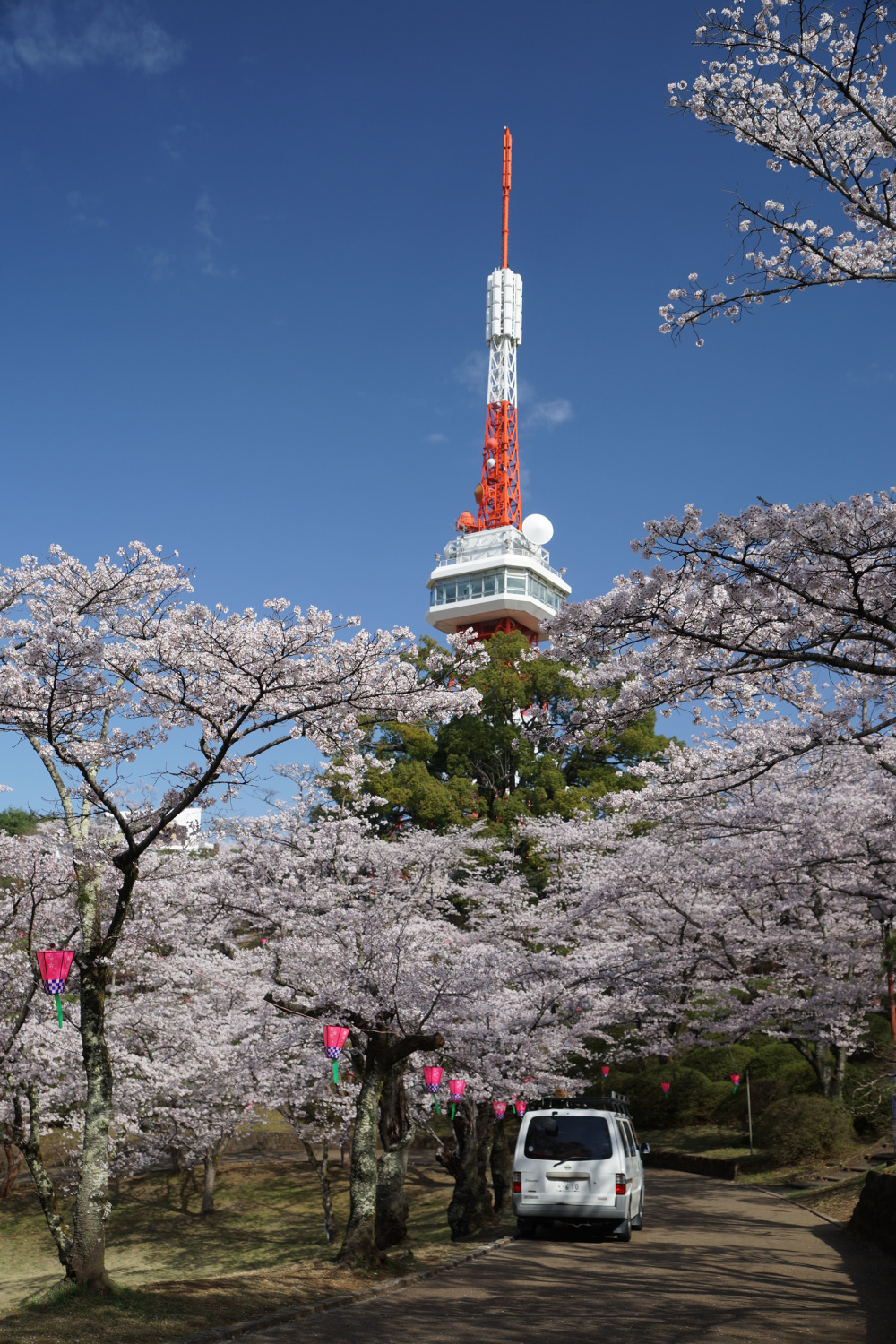 2023年3月29日(水)