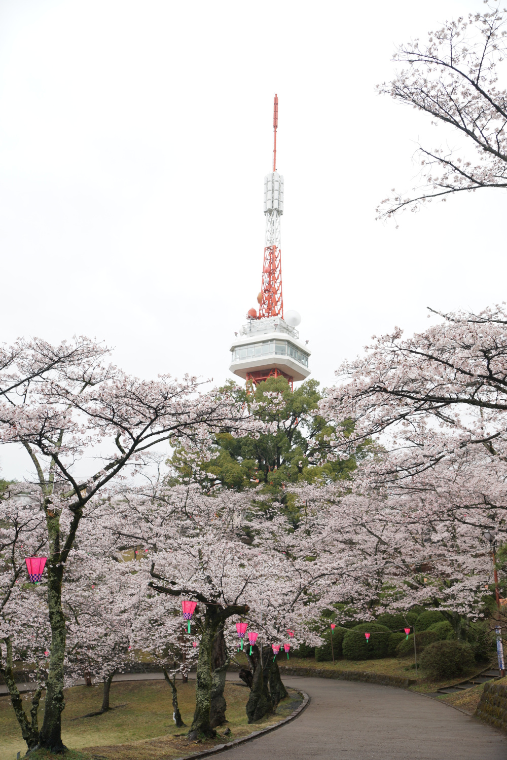 2023年3月25日(土)