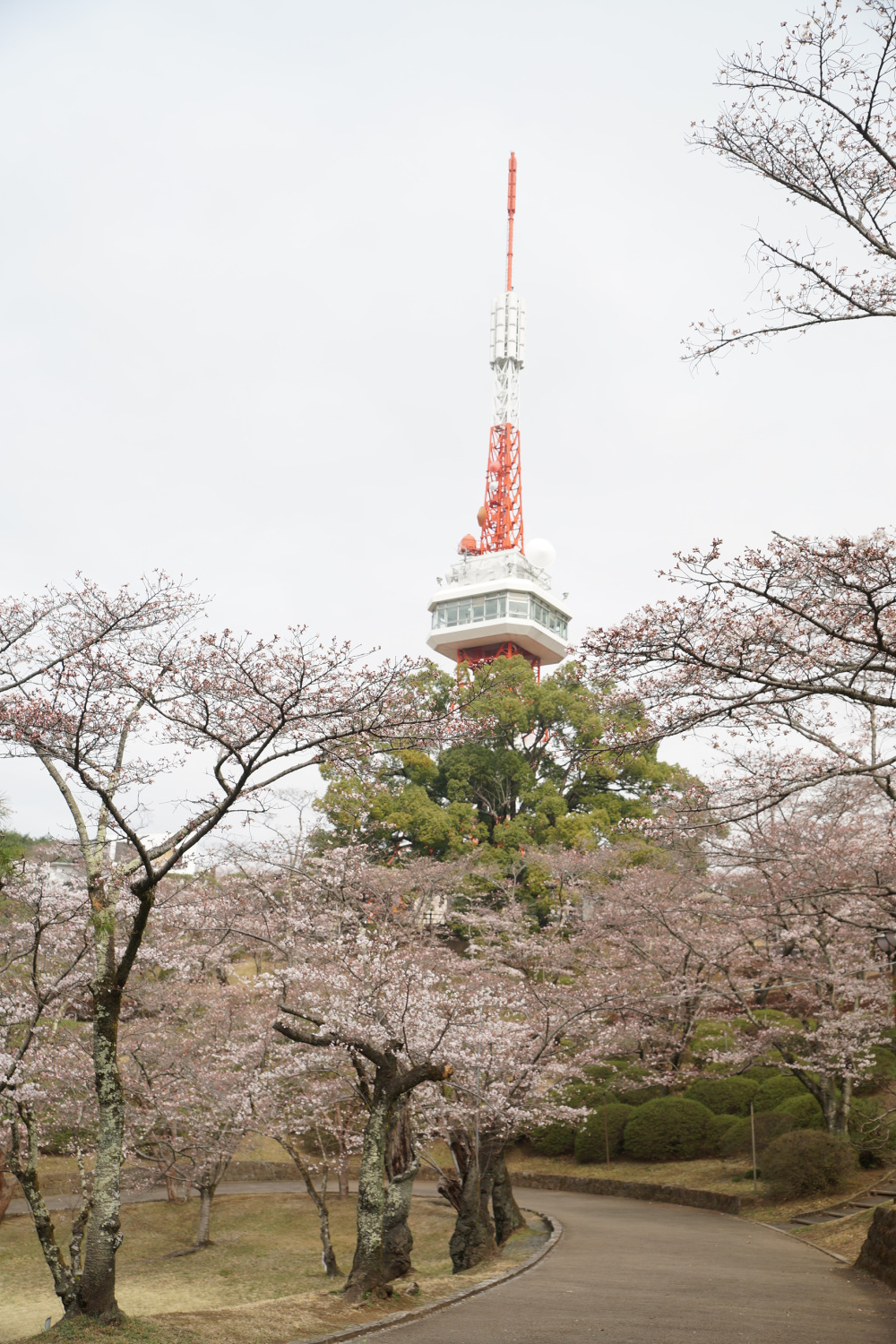 2023年3月23日(木)